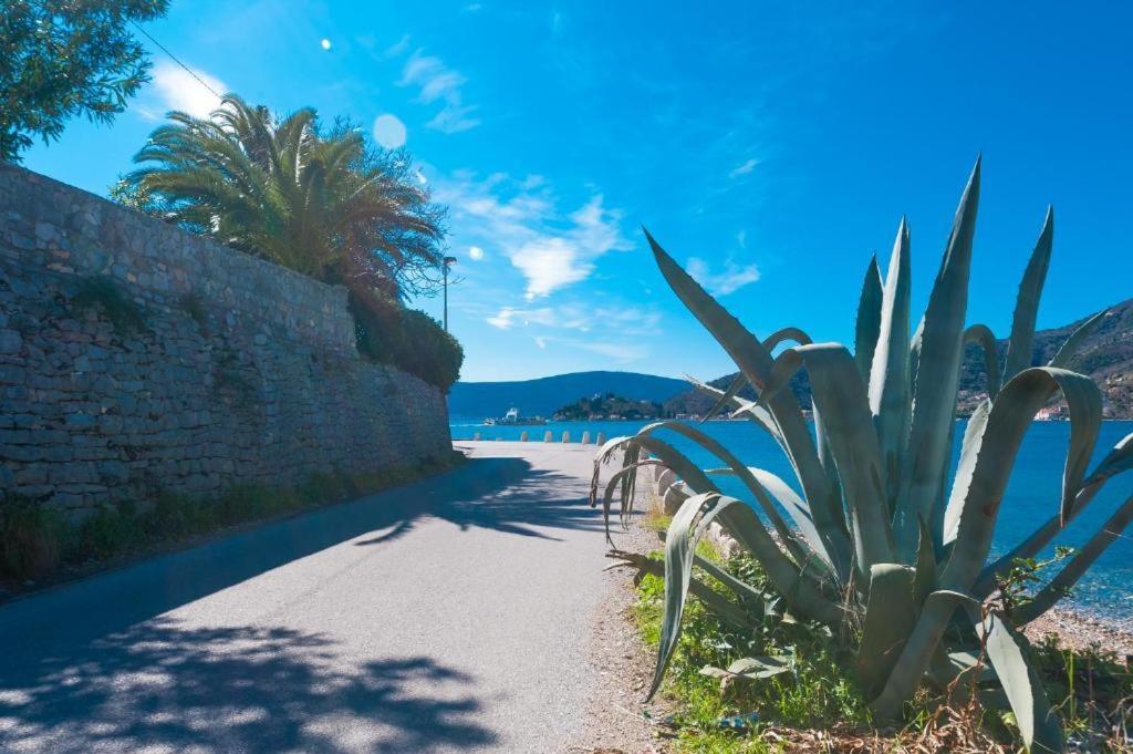 Apartmani Vesna Tivat Exteriör bild